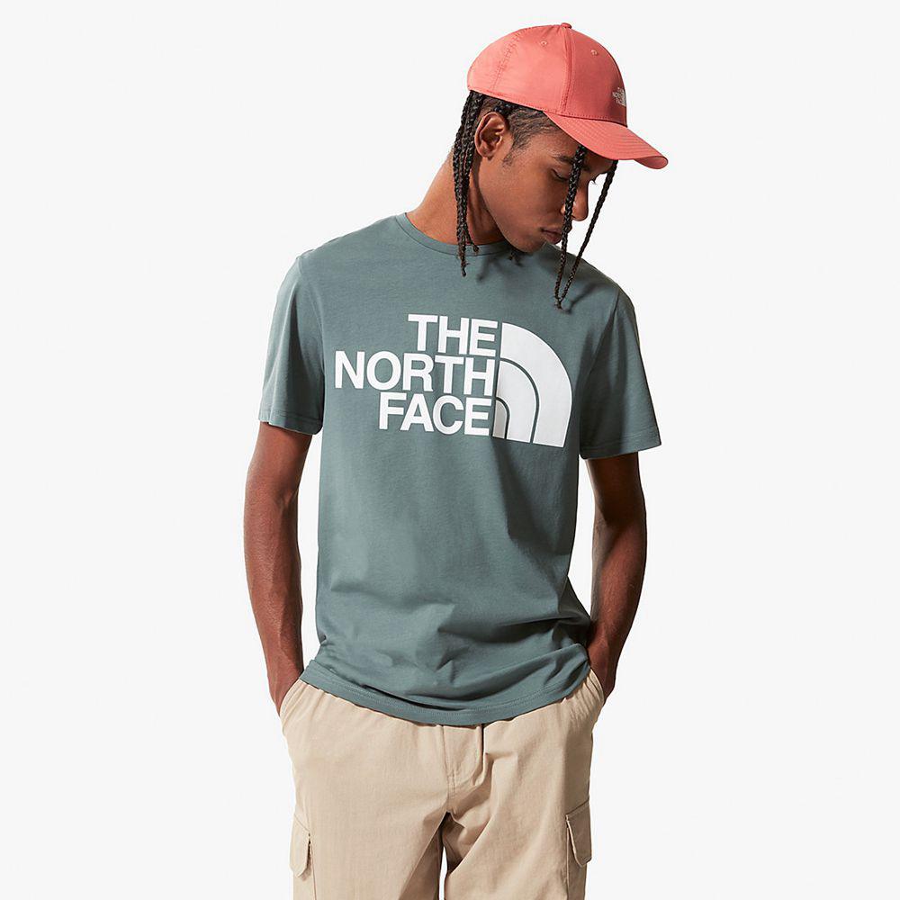 The North Face Standard Ανδρικα T Shirt - Πρασινο (GNRQ24913)